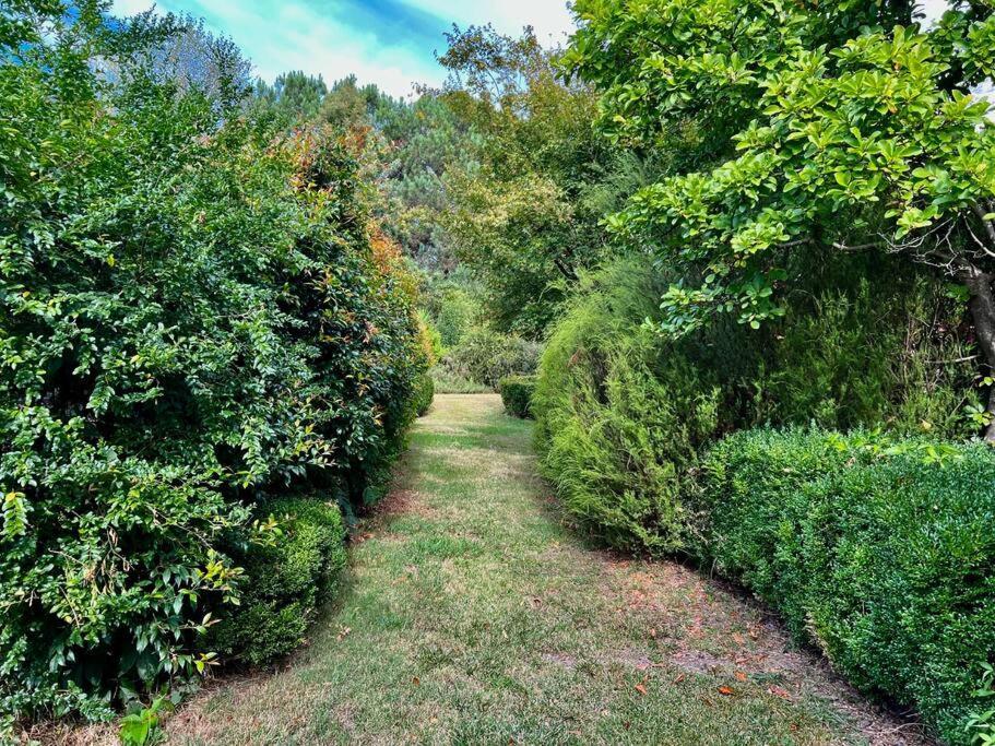 Beautiful 1960S Home In Historic Yackandandah Exterior photo