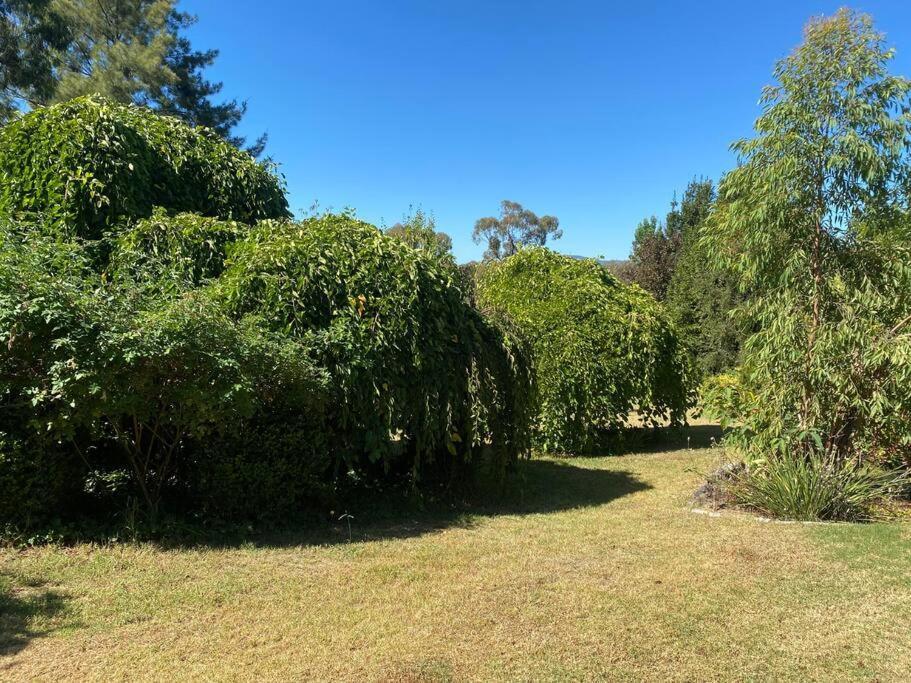 Beautiful 1960S Home In Historic Yackandandah Exterior photo