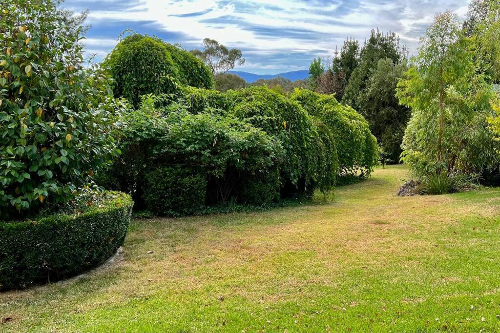 Beautiful 1960S Home In Historic Yackandandah Exterior photo