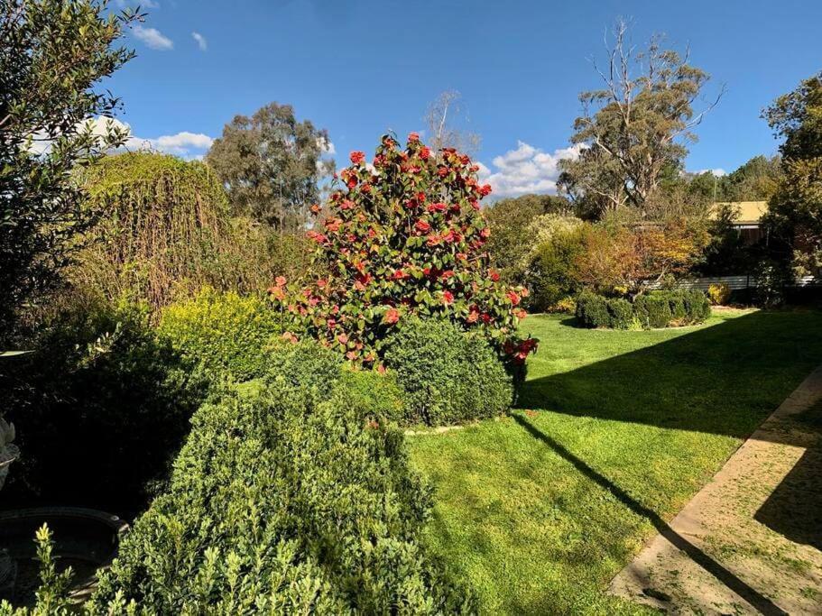 Beautiful 1960S Home In Historic Yackandandah Exterior photo