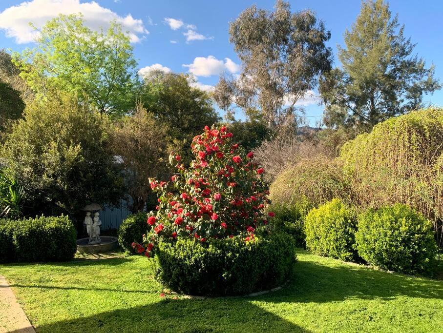 Beautiful 1960S Home In Historic Yackandandah Exterior photo